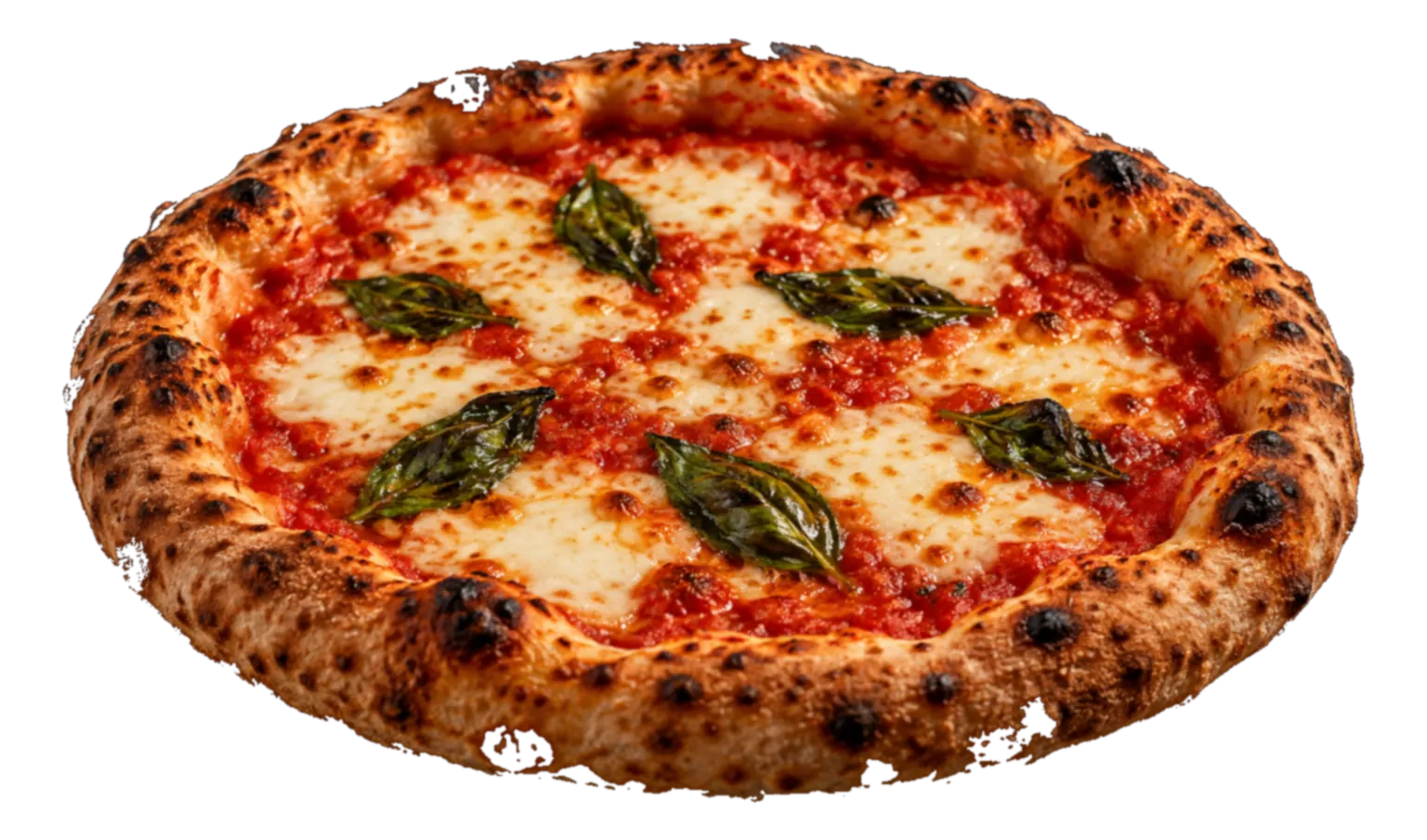 Pizza margherita au four à bois